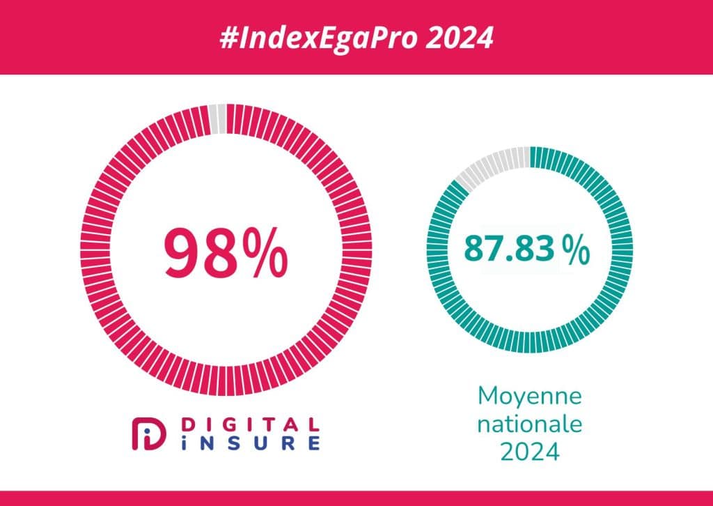 index égalité professionnelle digital insure 2024